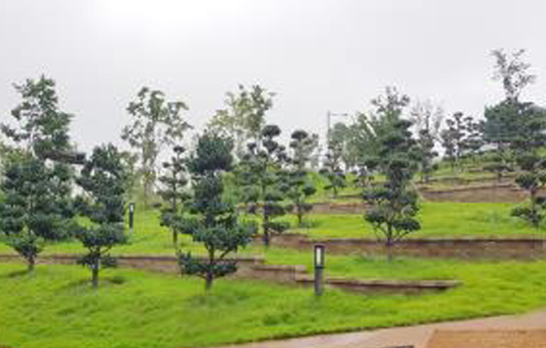 바람정원수목장 사진